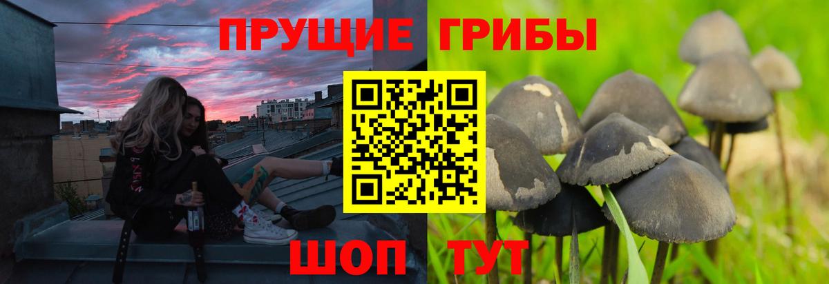 Бирск  Галлюциногенные грибы Magic Shrooms  Вход с VPN 